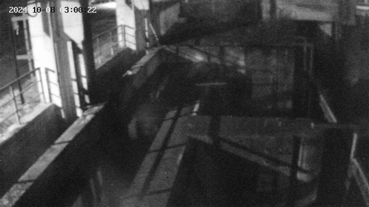 area2-20241008030023.jpg