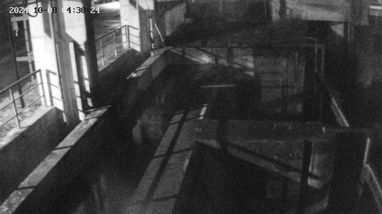 area2-20241008043025.jpg
