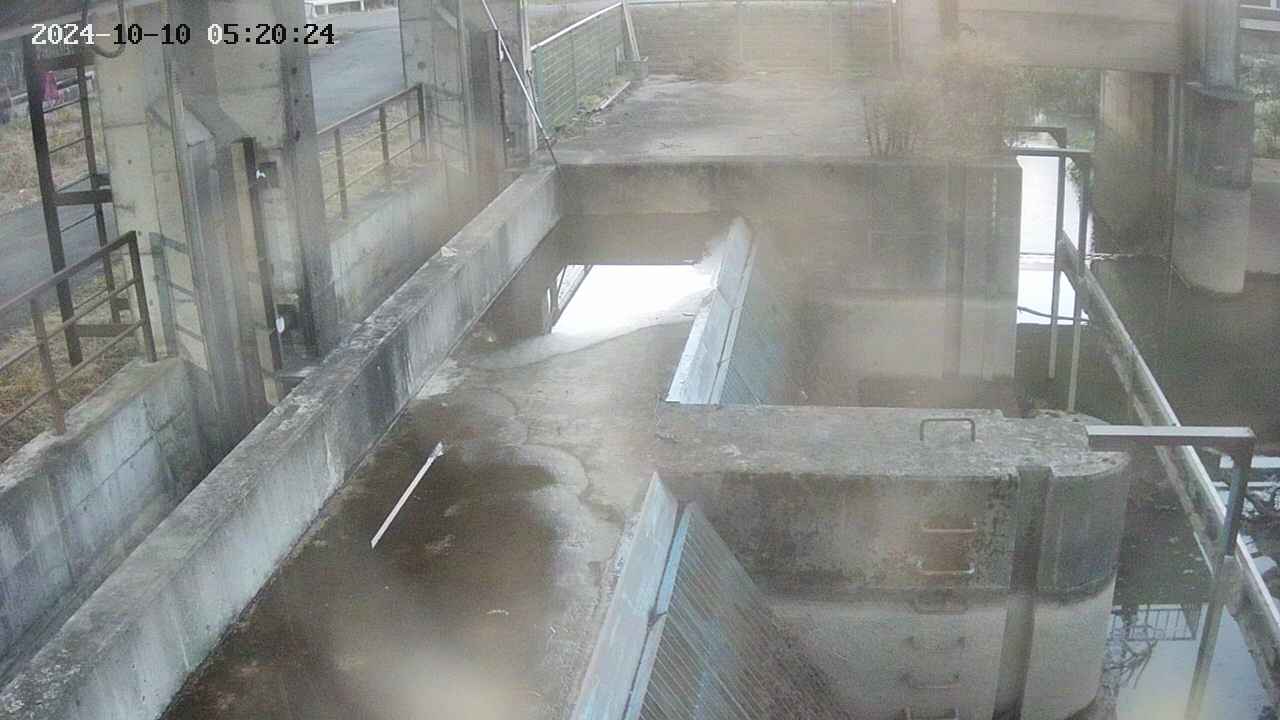 area2-20241010052025.jpg