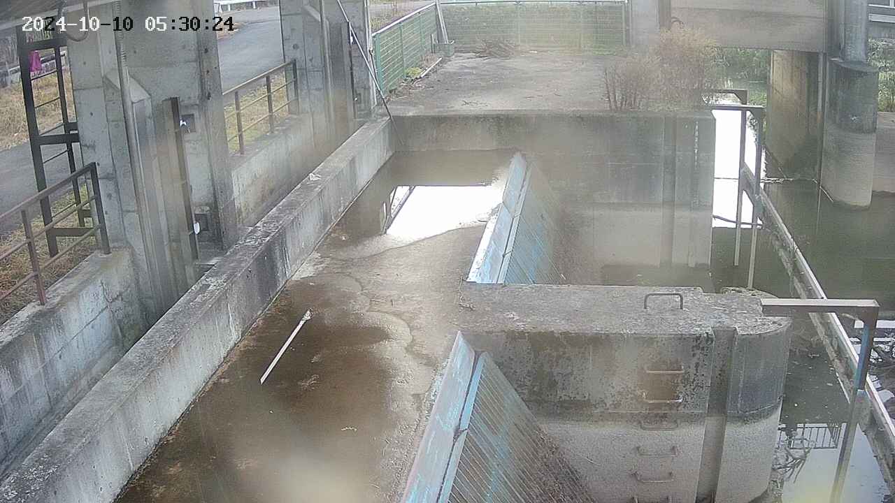 area2-20241010053026.jpg