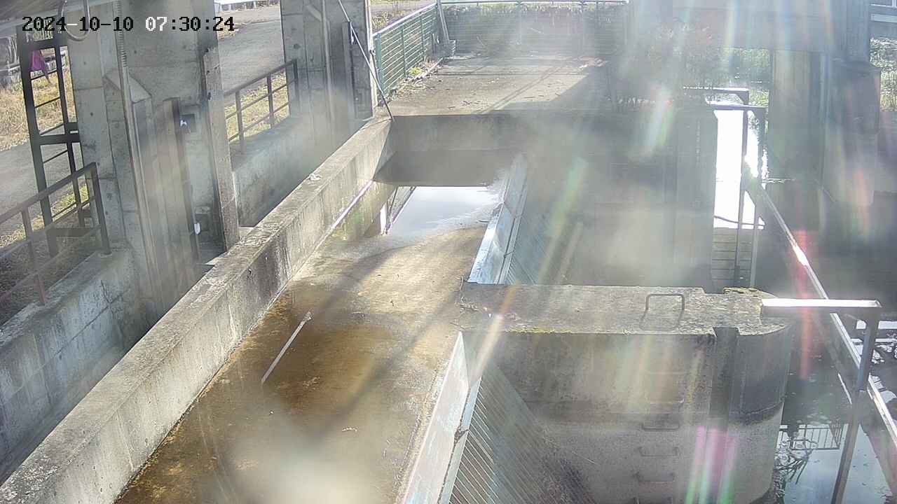 area2-20241010073025.jpg