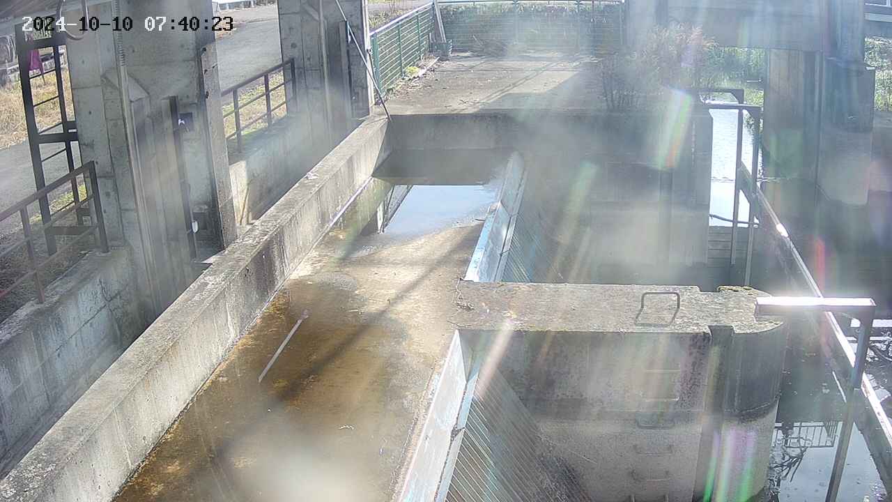 area2-20241010074024.jpg