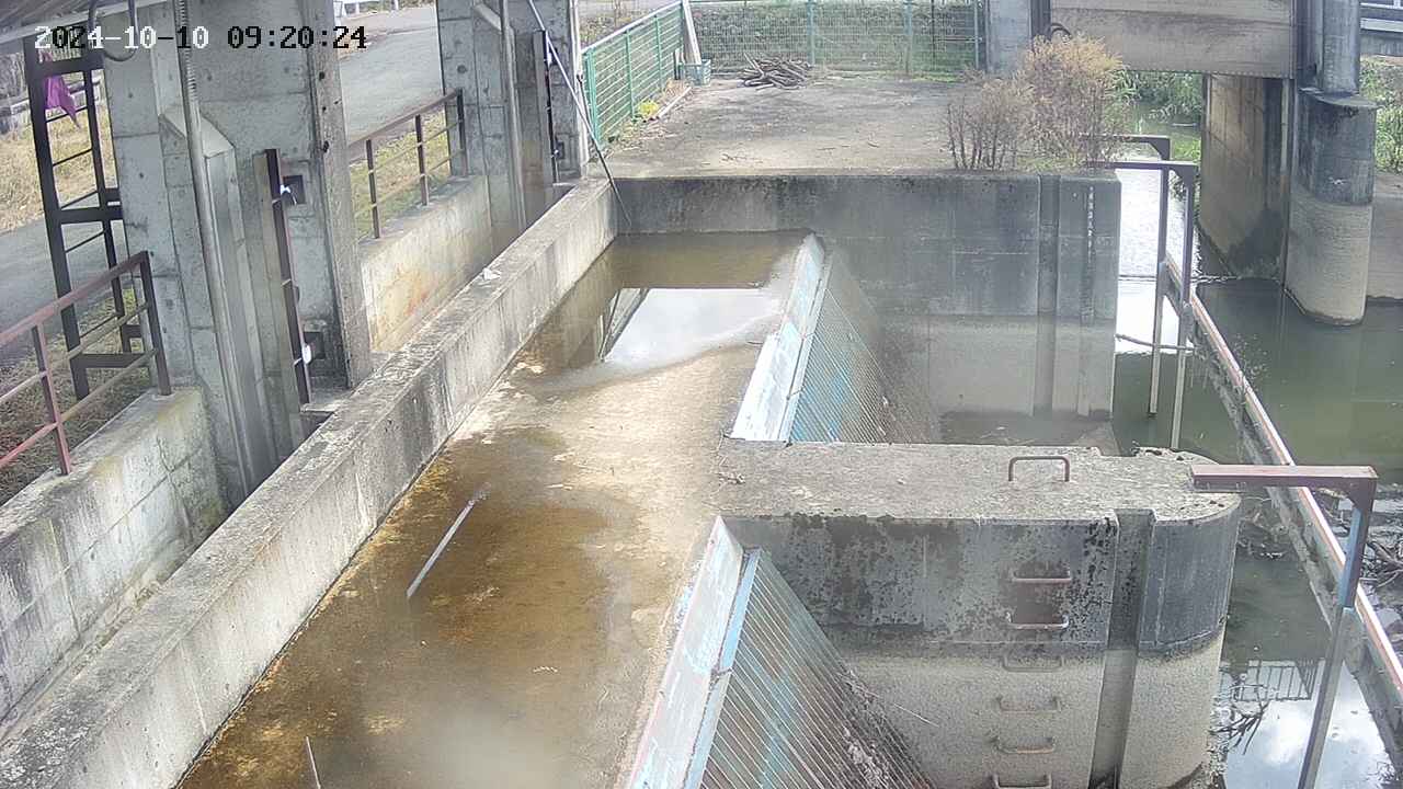 area2-20241010092025.jpg