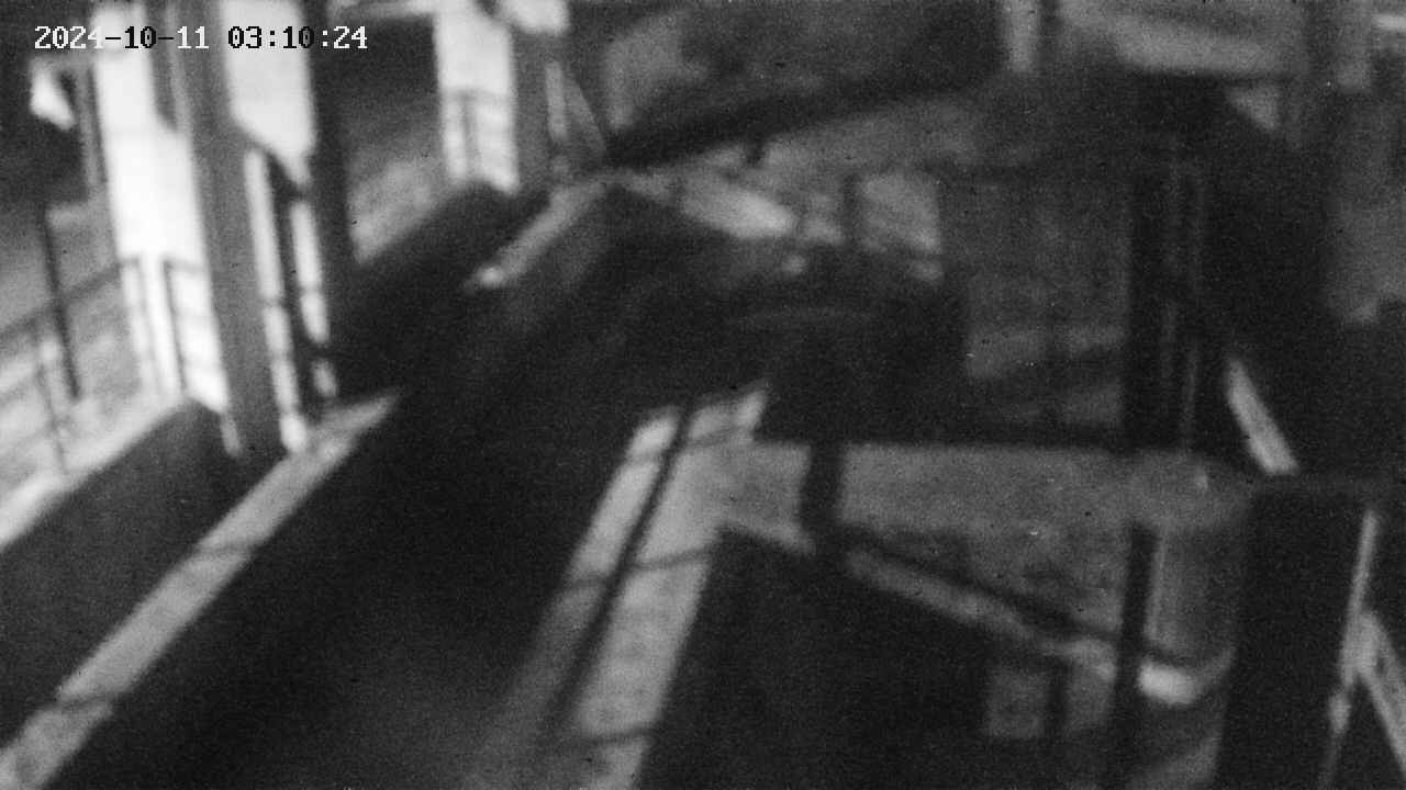 area2-20241011031024.jpg