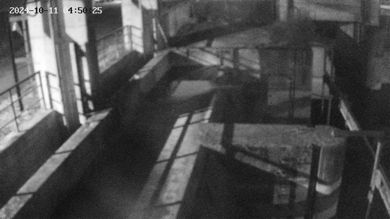 area2-20241011045026.jpg
