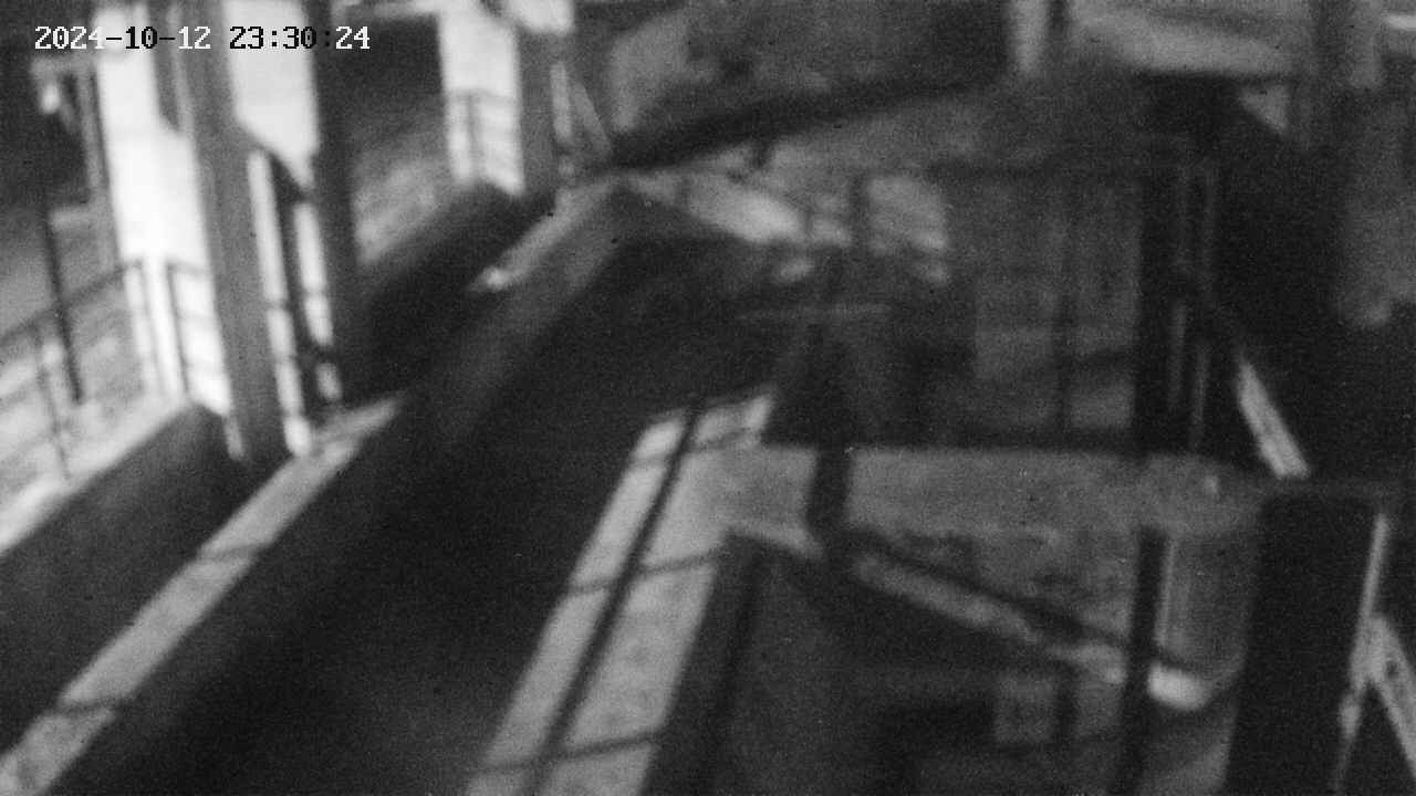 area2-20241012233024.jpg