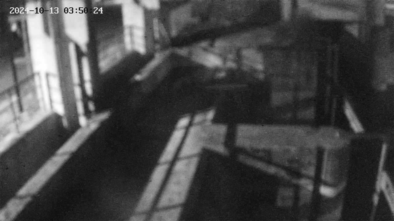 area2-20241013035025.jpg