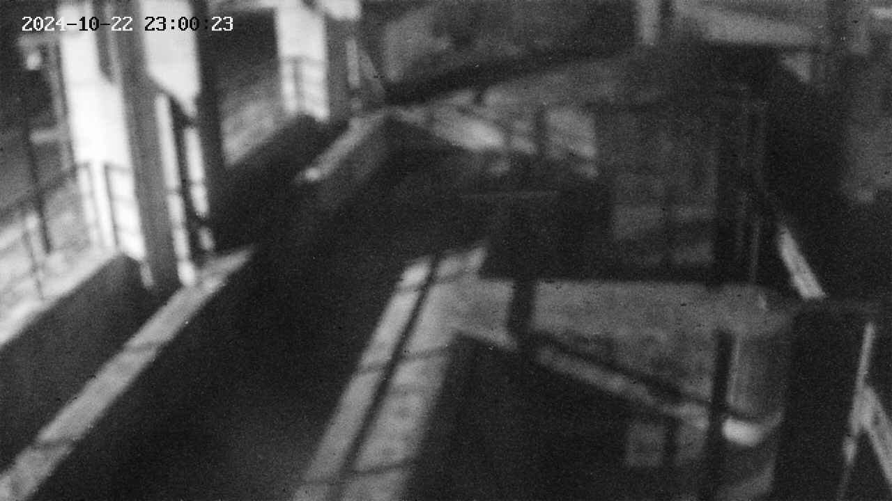 area2-20241022230023.jpg