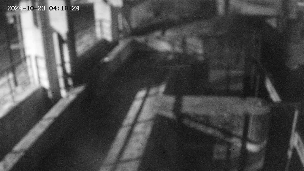 area2-20241023041024.jpg