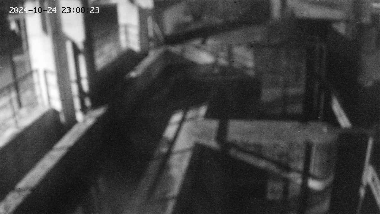 area2-20241024230023.jpg
