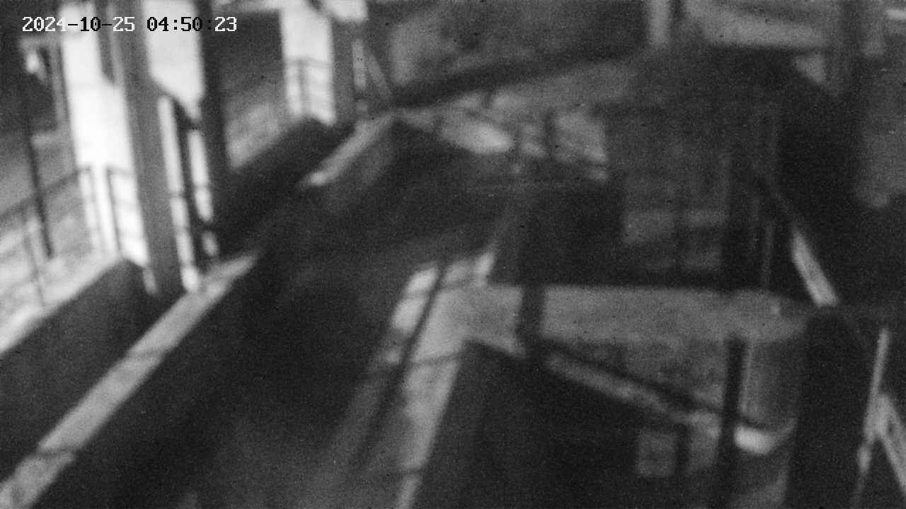 area2-20241025045024.jpg