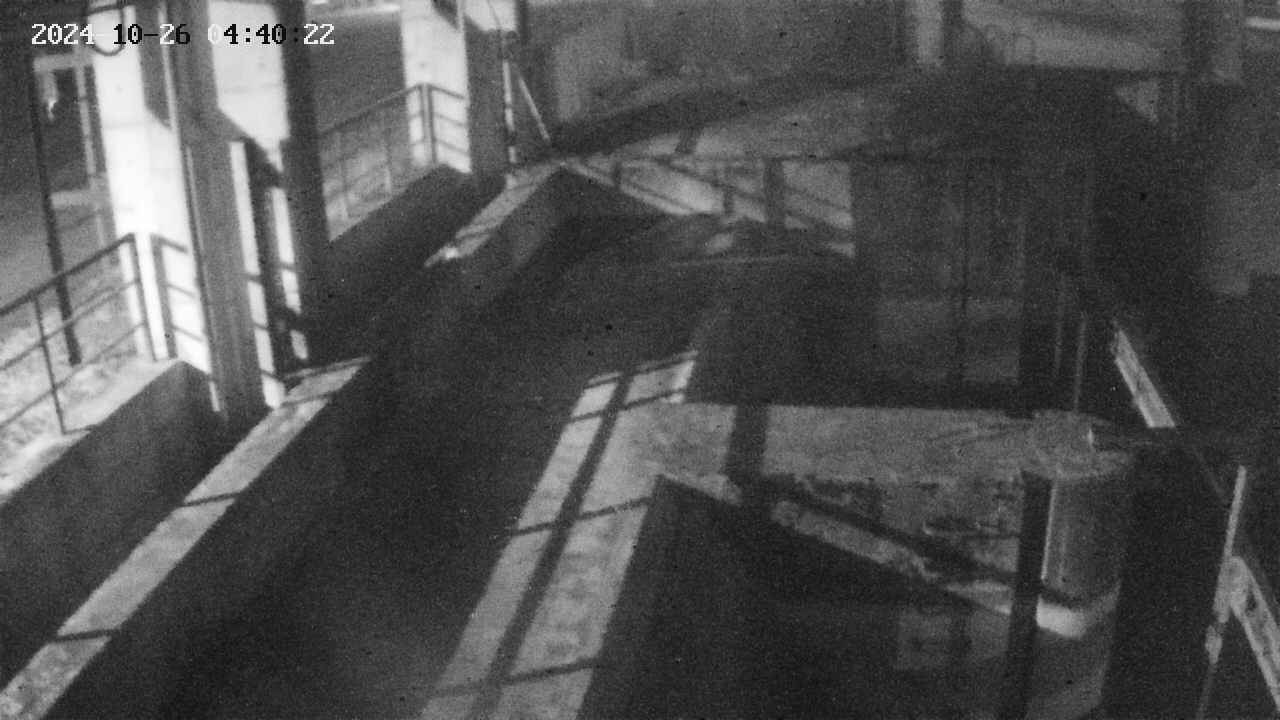 area2-20241026044023.jpg