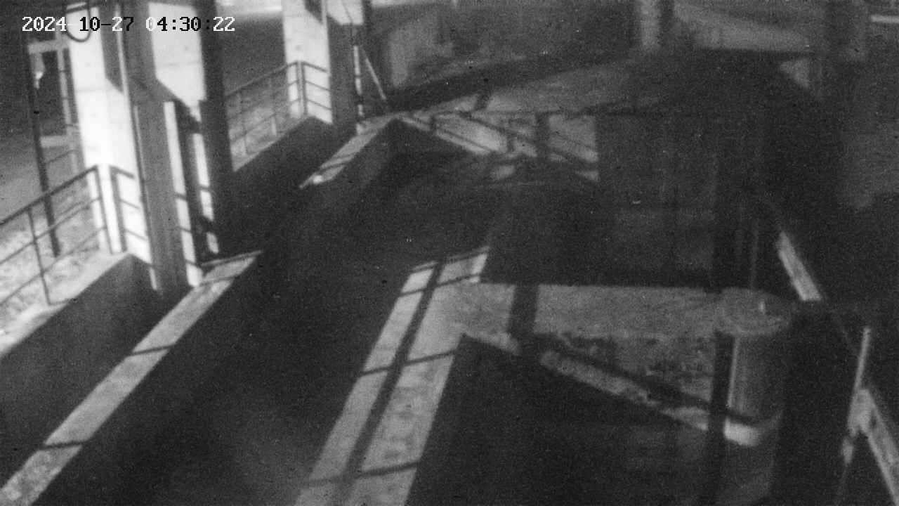 area2-20241027043023.jpg