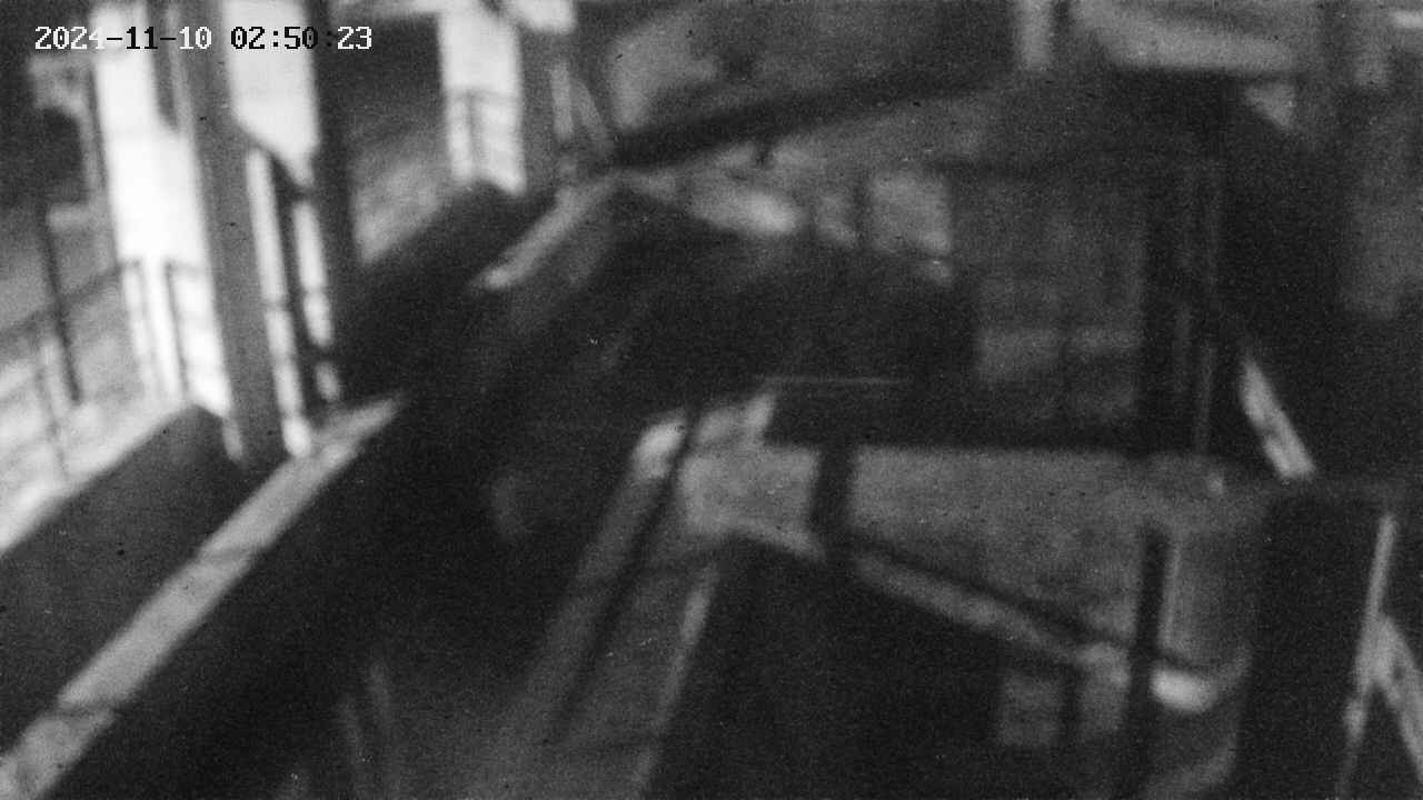 area2-20241110025024.jpg