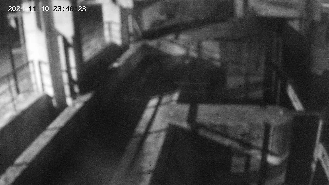 area2-20241110234024.jpg