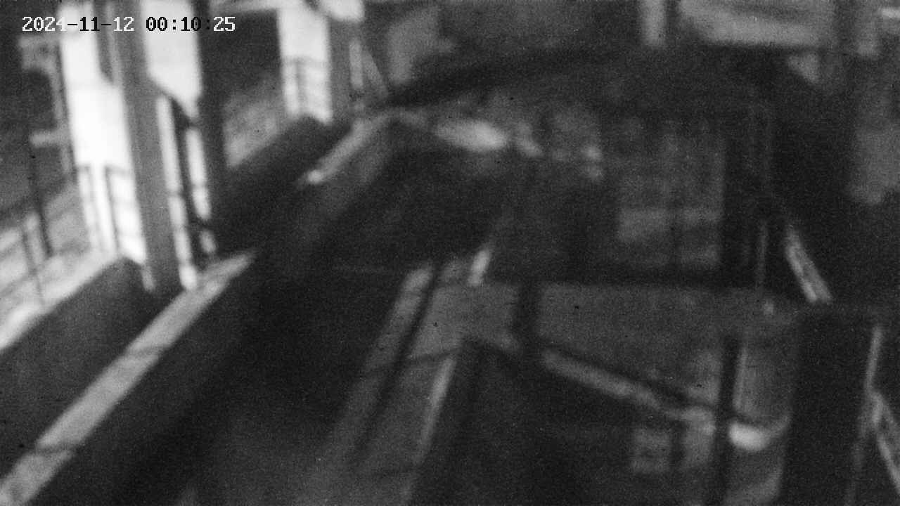 area2-20241112001026.jpg