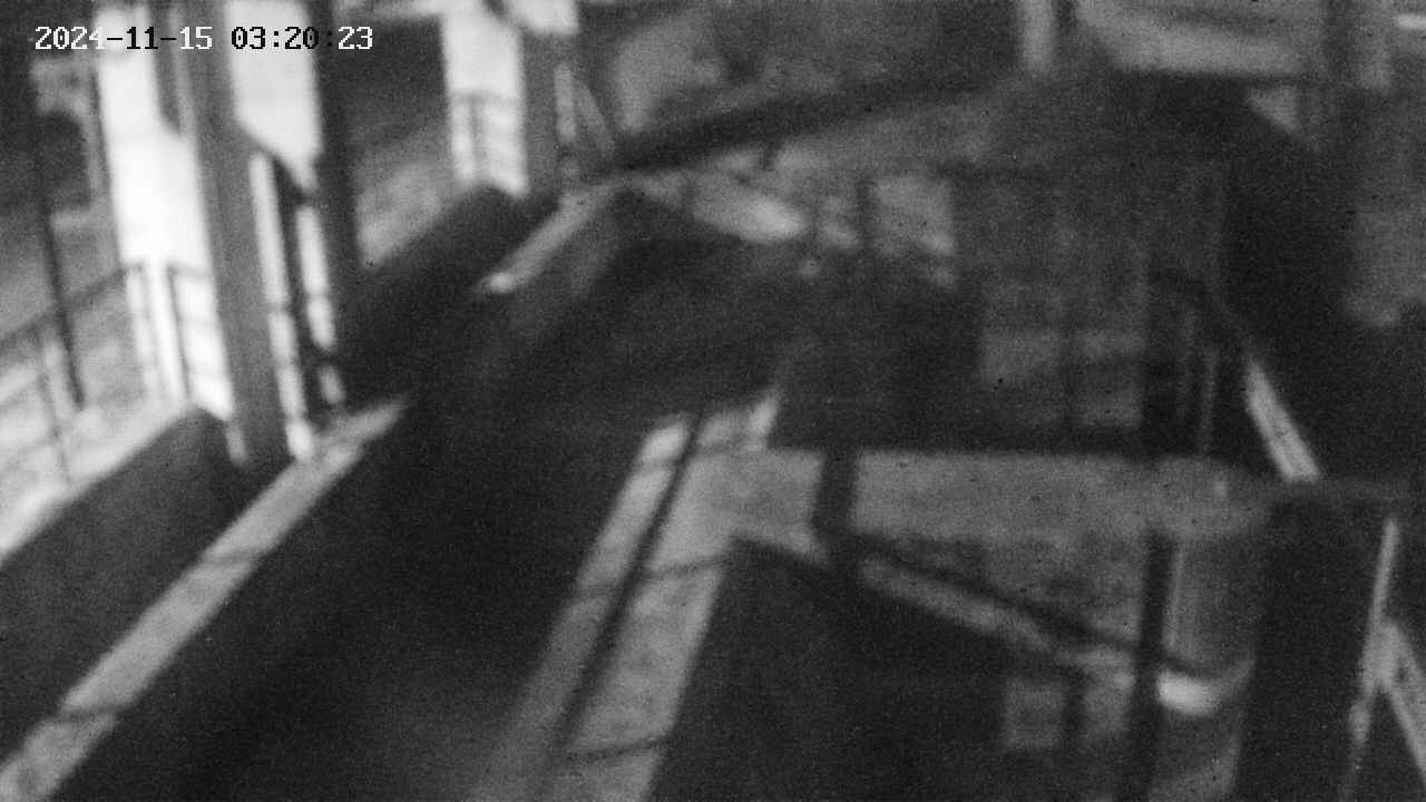 area2-20241115032024.jpg