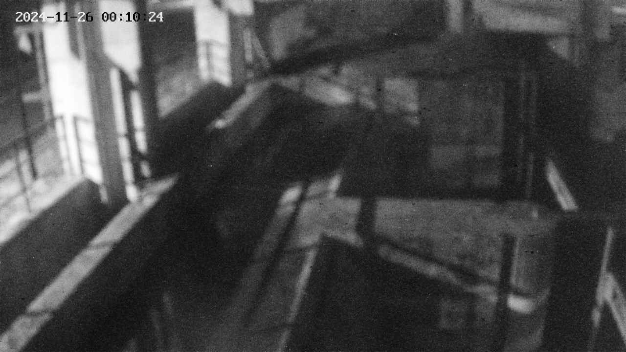 area2-20241126001025.jpg