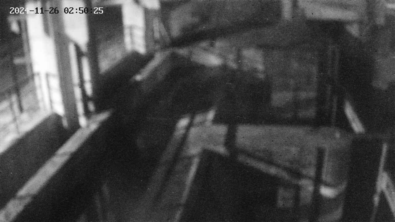 area2-20241126025025.jpg