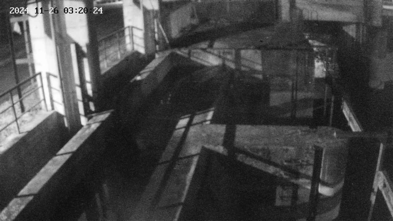 area2-20241126032025.jpg