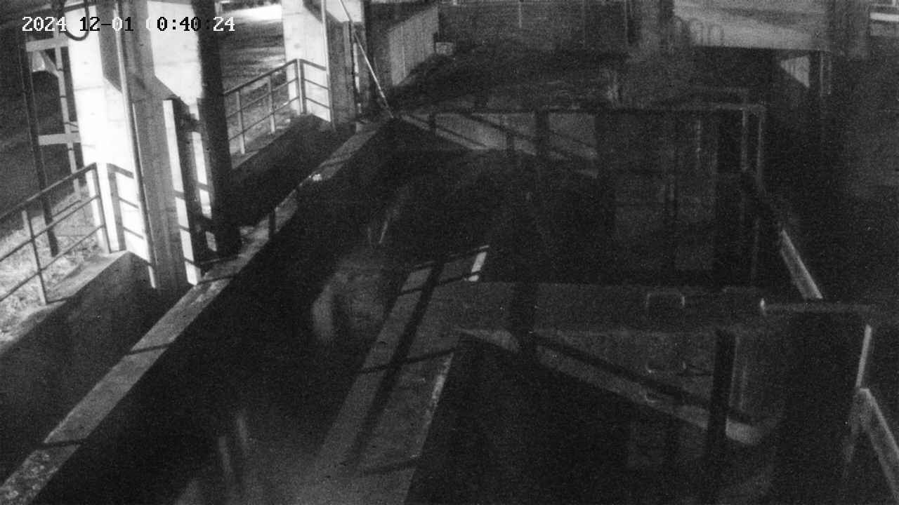 area2-20241201004025.jpg