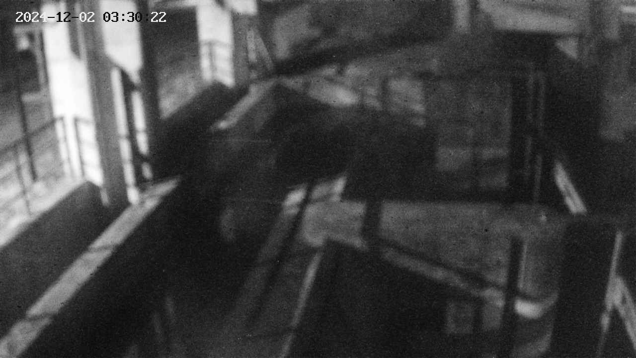 area2-20241202033023.jpg