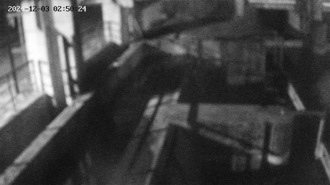 area2-20241203025024.jpg