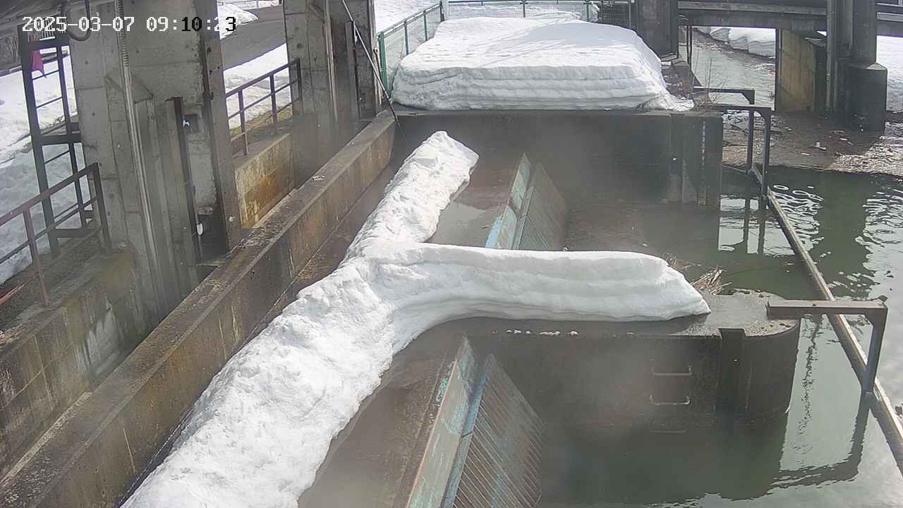area2-20250307091025.jpg