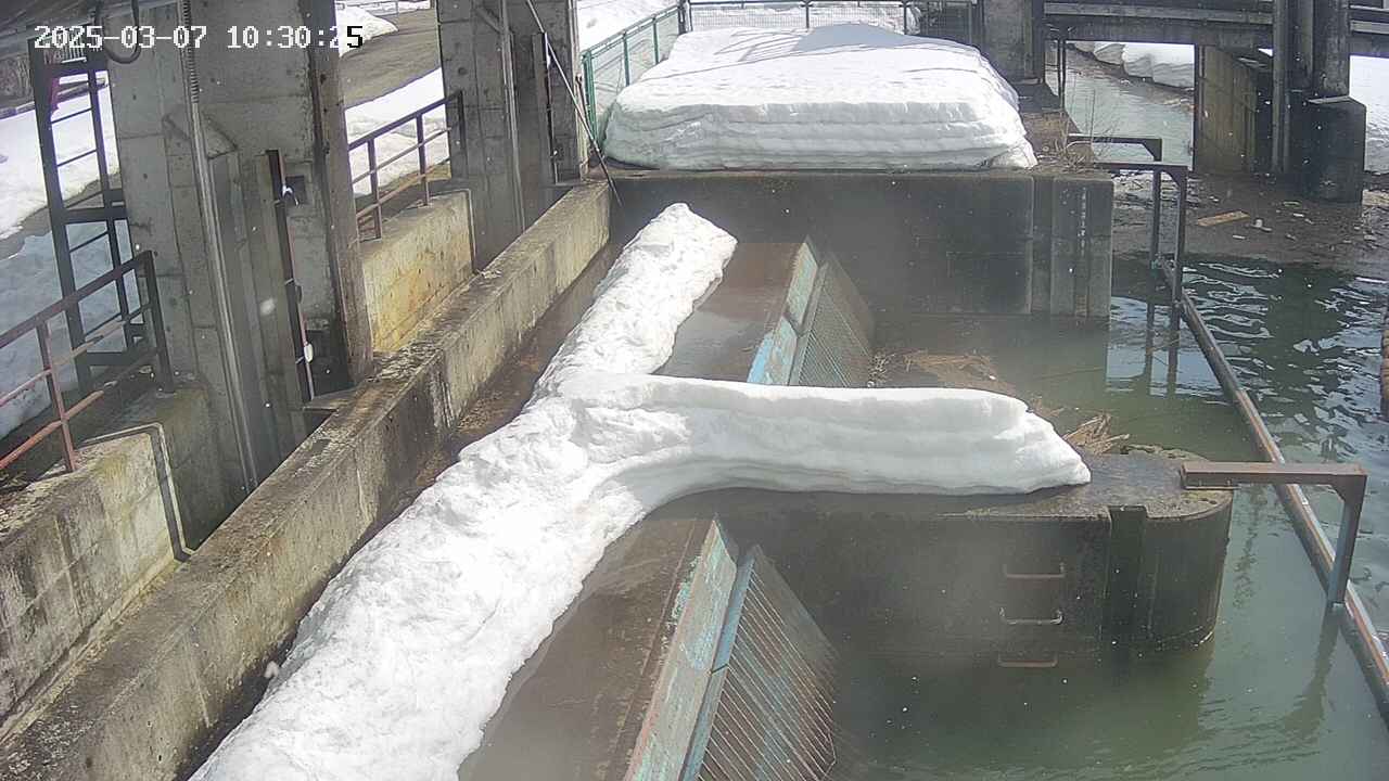 area2-20250307103026.jpg