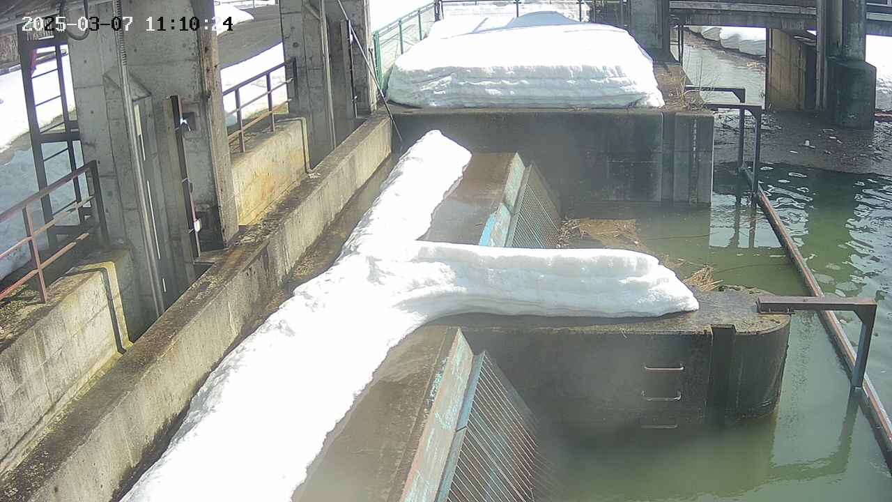 area2-20250307111025.jpg