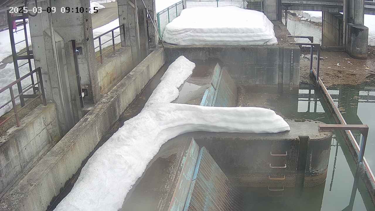 area2-20250309091027.jpg