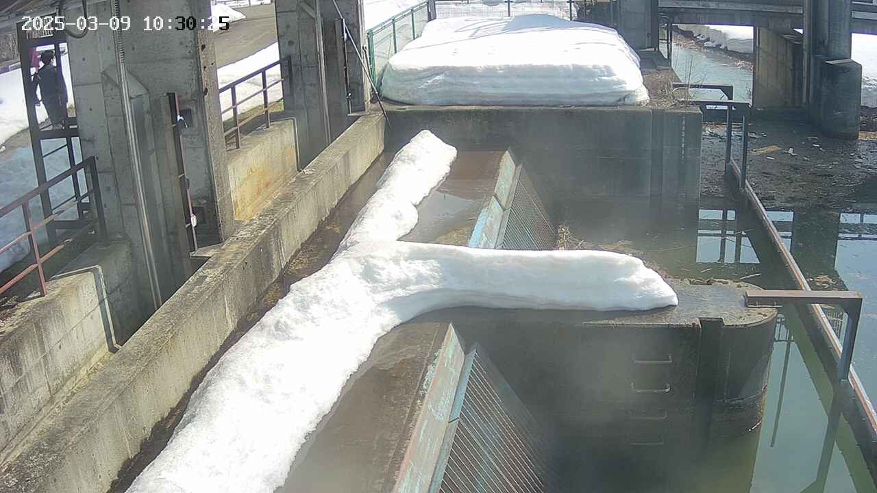 area2-20250309103026.jpg