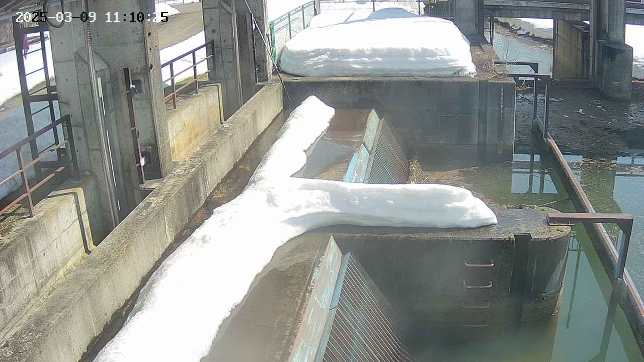 area2-20250309111027.jpg