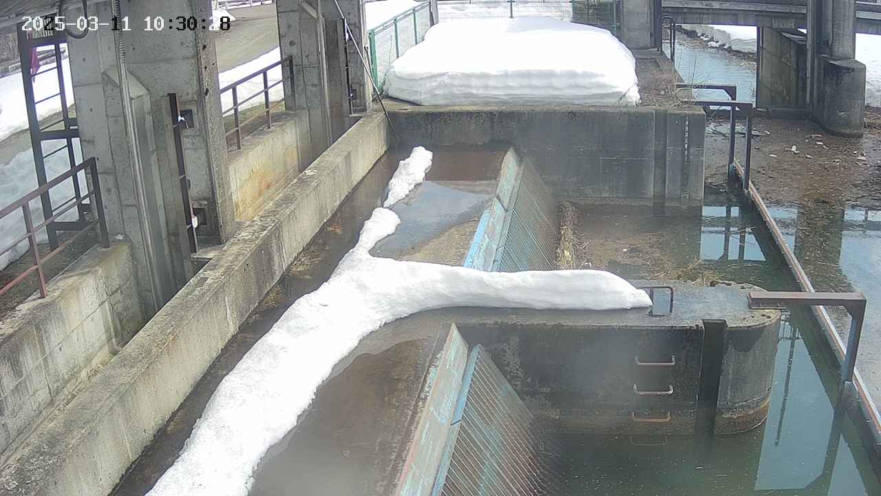 area2-20250311103029.jpg