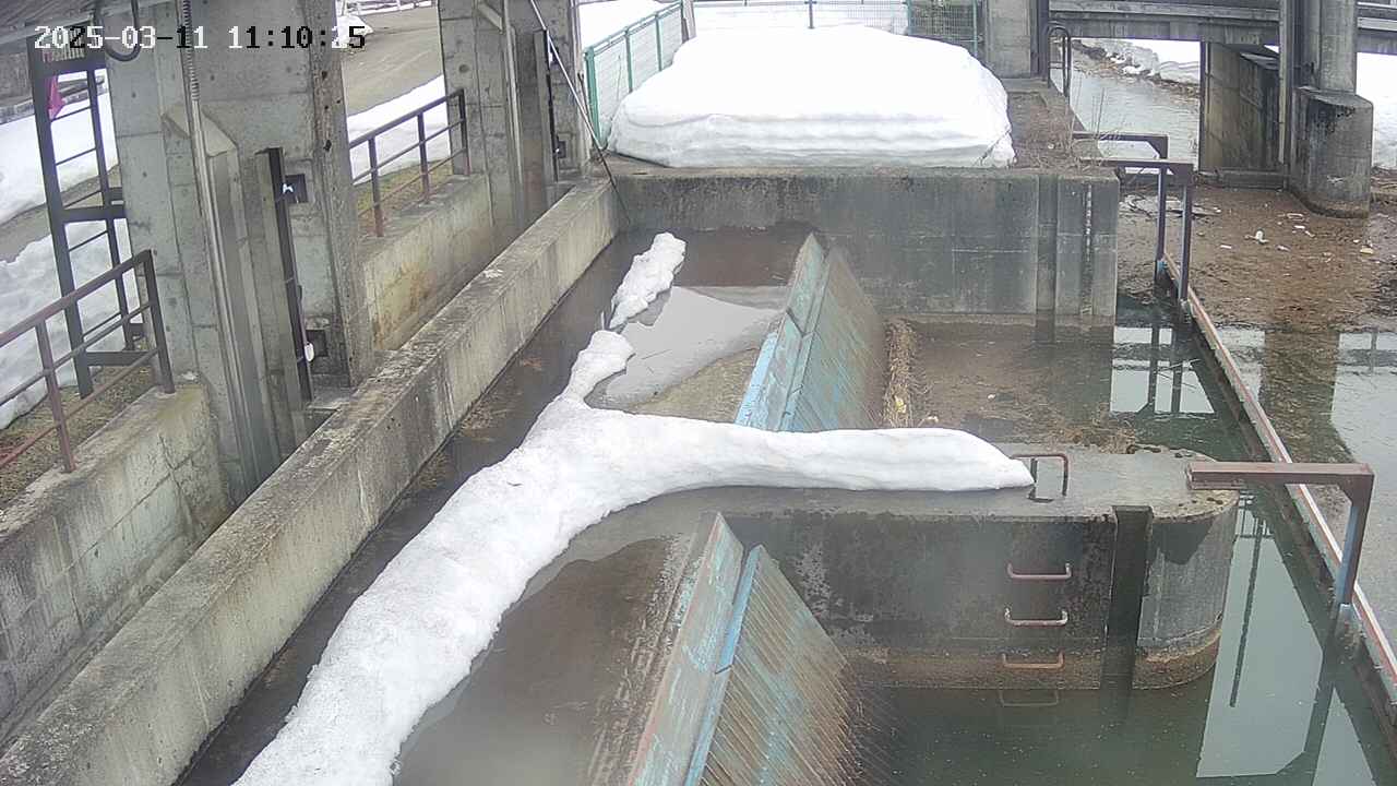 area2-20250311111026.jpg