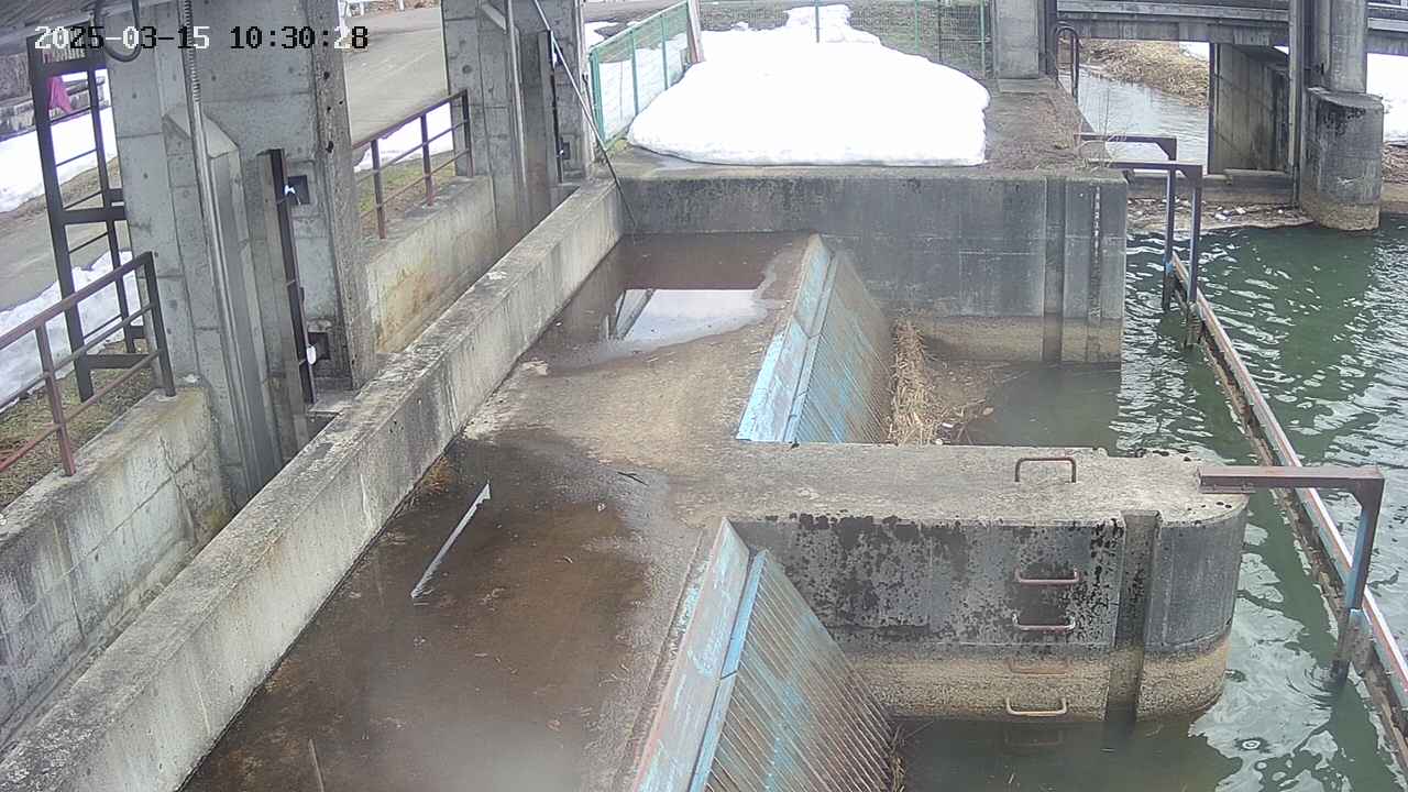 area2-20250315103029.jpg