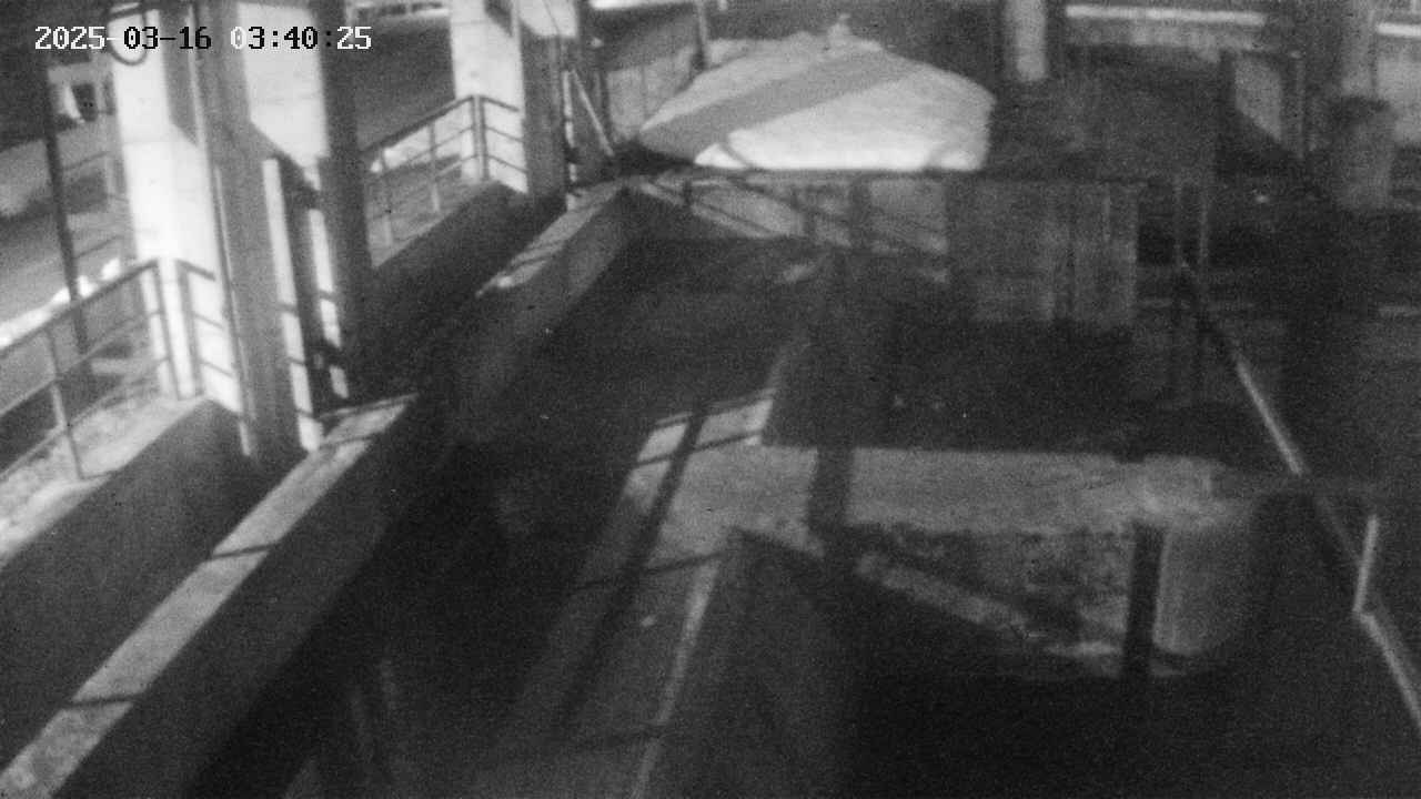 area2-20250316034026.jpg