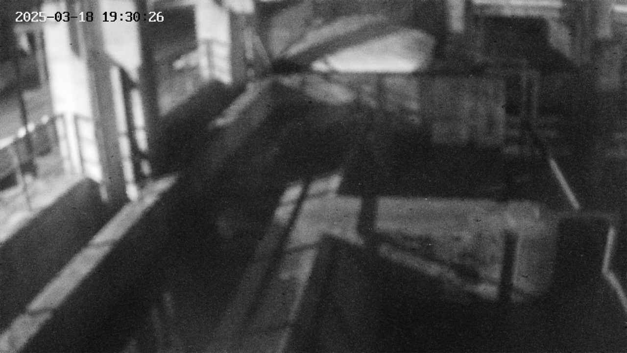 area2-20250318193026.jpg