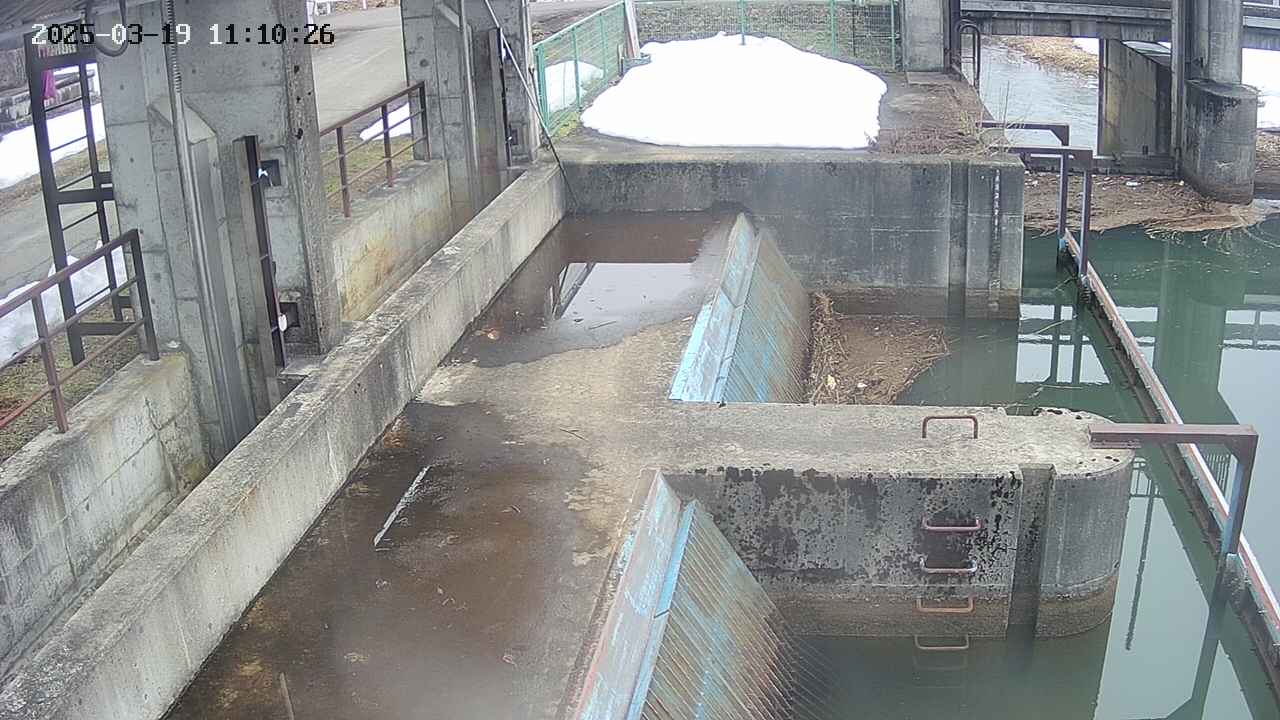 area2-20250319111027.jpg