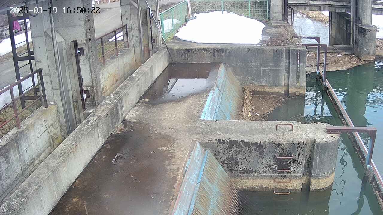 area2-20250319165023.jpg