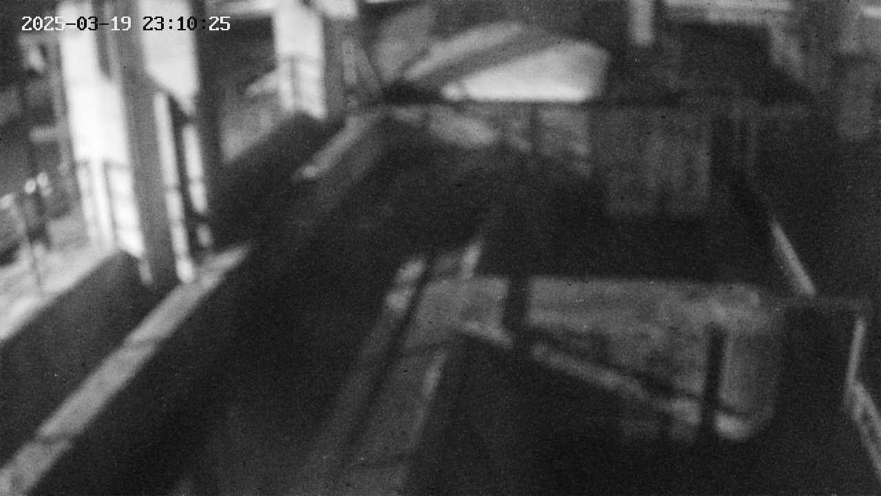 area2-20250319231026.jpg