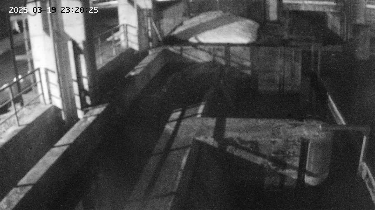 area2-20250319232026.jpg