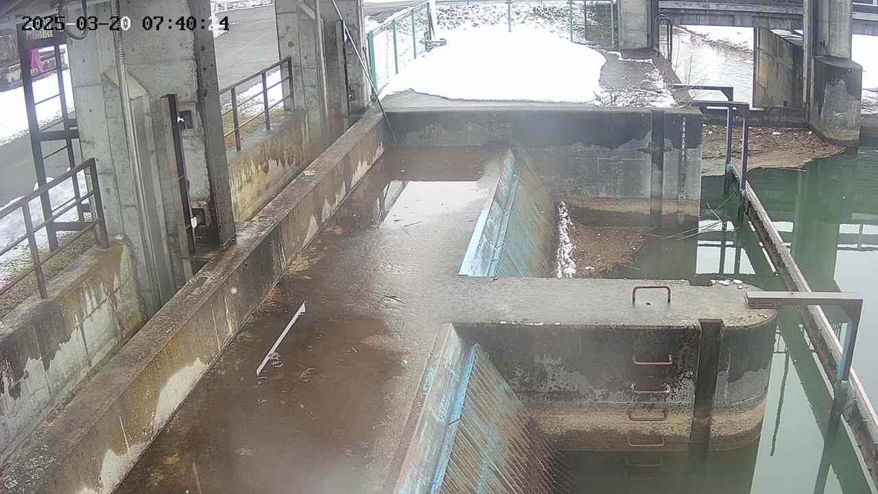 area2-20250320074025.jpg