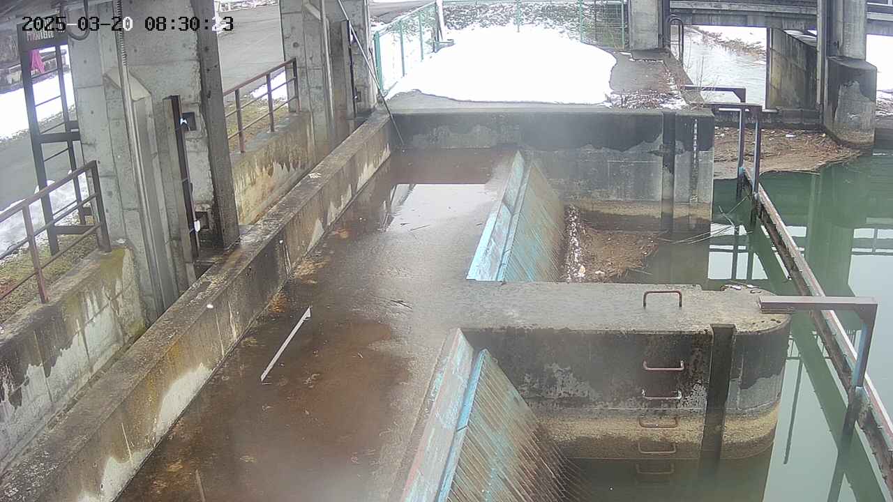 area2-20250320083024.jpg