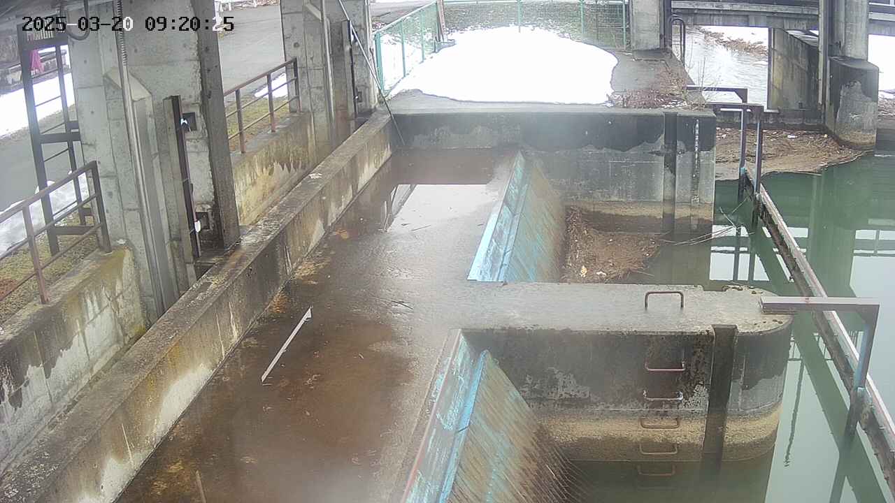 area2-20250320092026.jpg