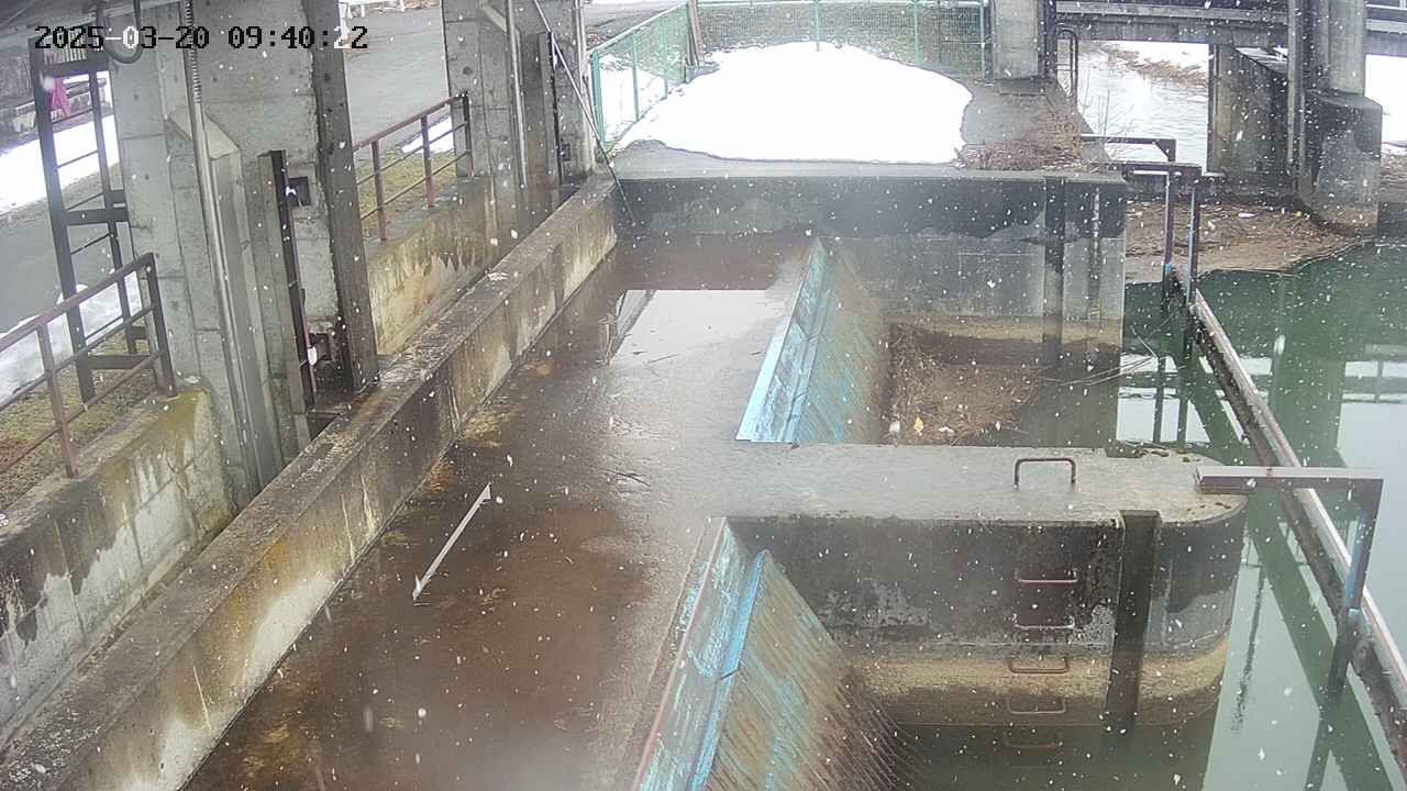 area2-20250320094023.jpg