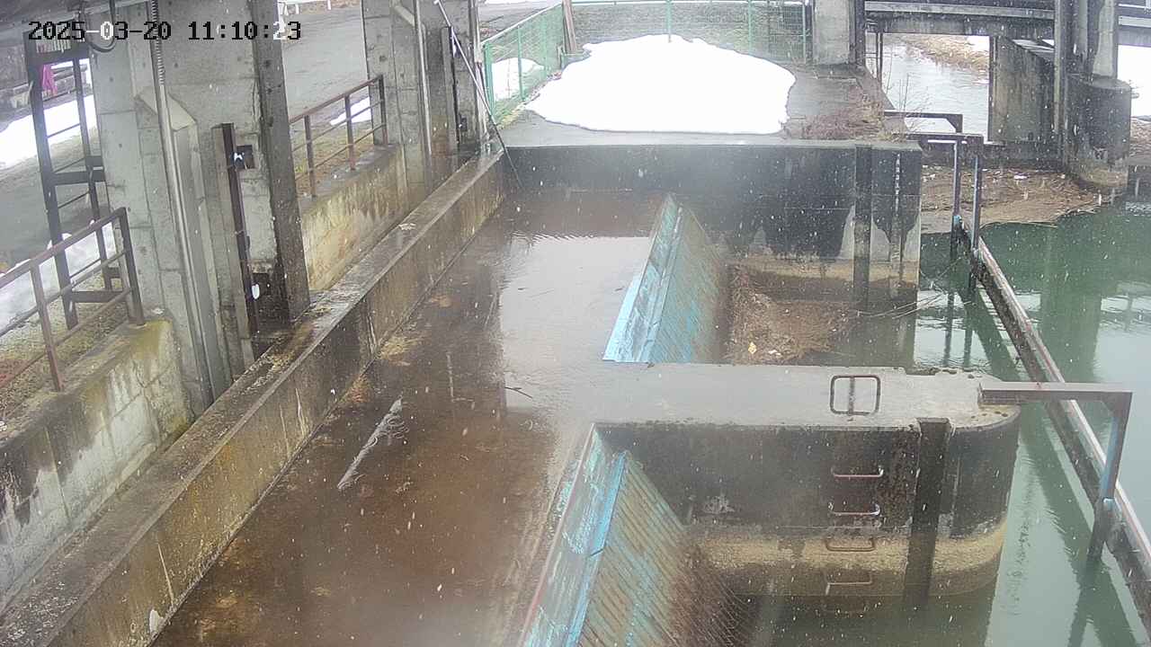 area2-20250320111025.jpg