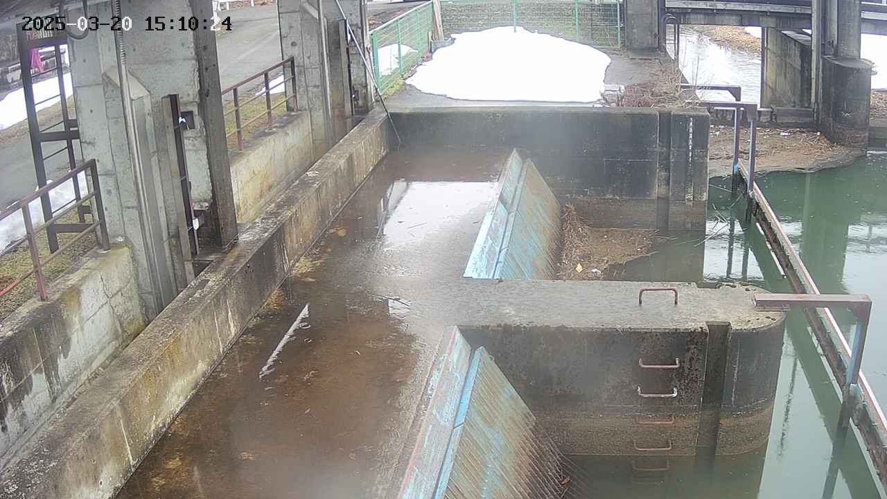 area2-20250320151025.jpg