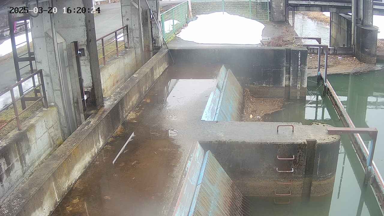 area2-20250320162026.jpg