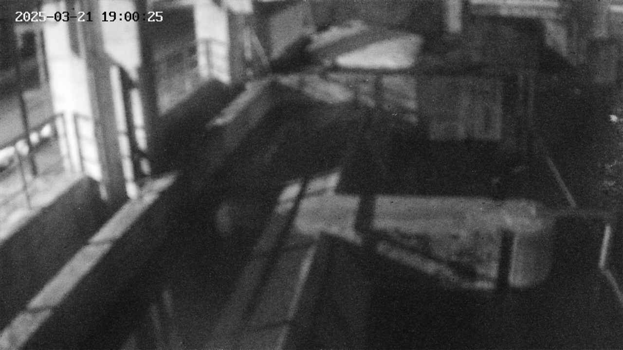 area2-20250321190026.jpg